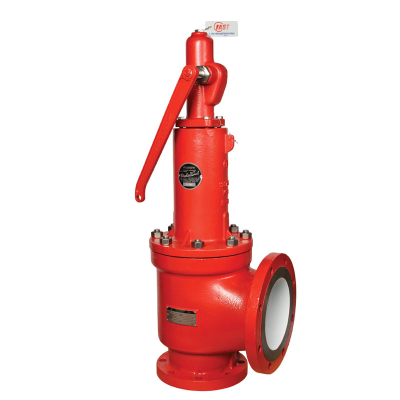 2600 Series & 2600L Series - Process Valve