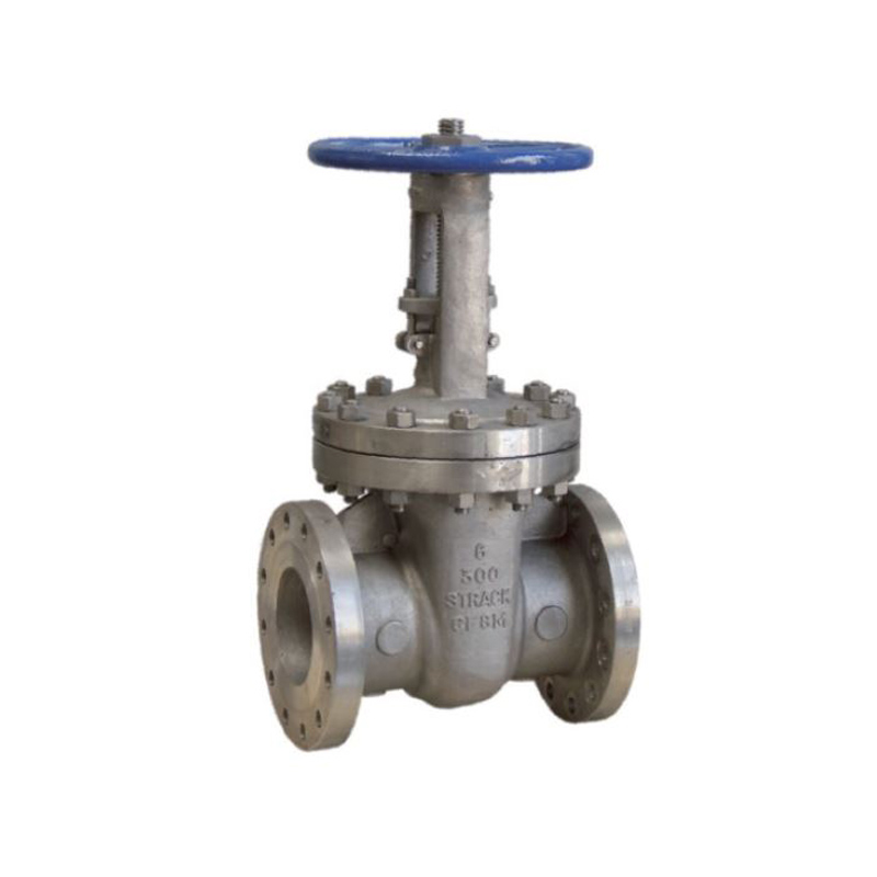 S02 - Gate Valve