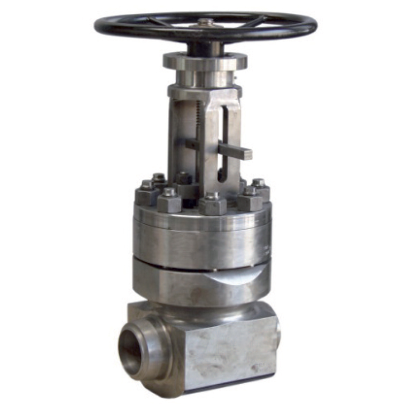 S16 - Gate Valve