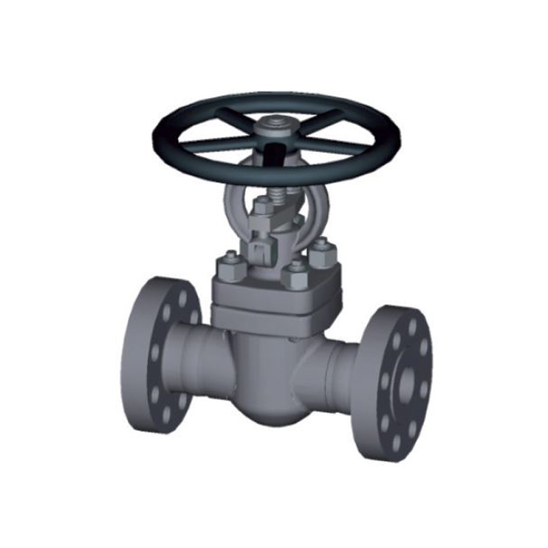 S17 - Gate Valve