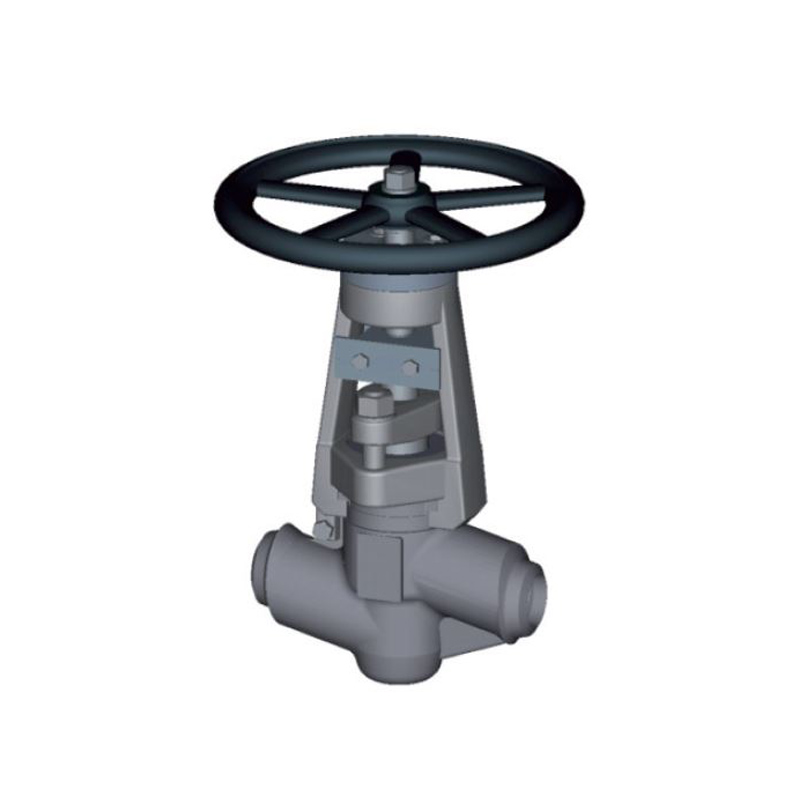 S21 - Globe Valve