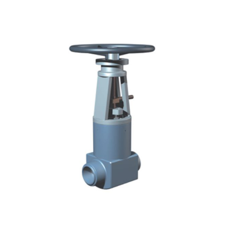 S22 - Globe Valve