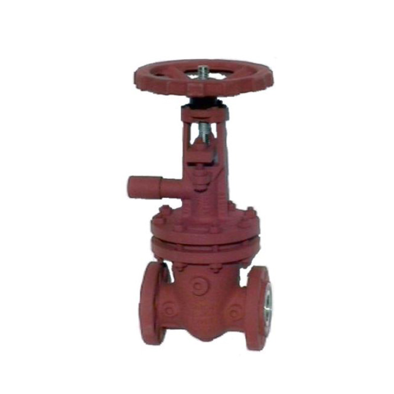 S96 - Gate Valve